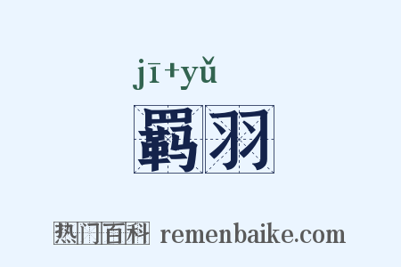 羁羽是什么意思的图片